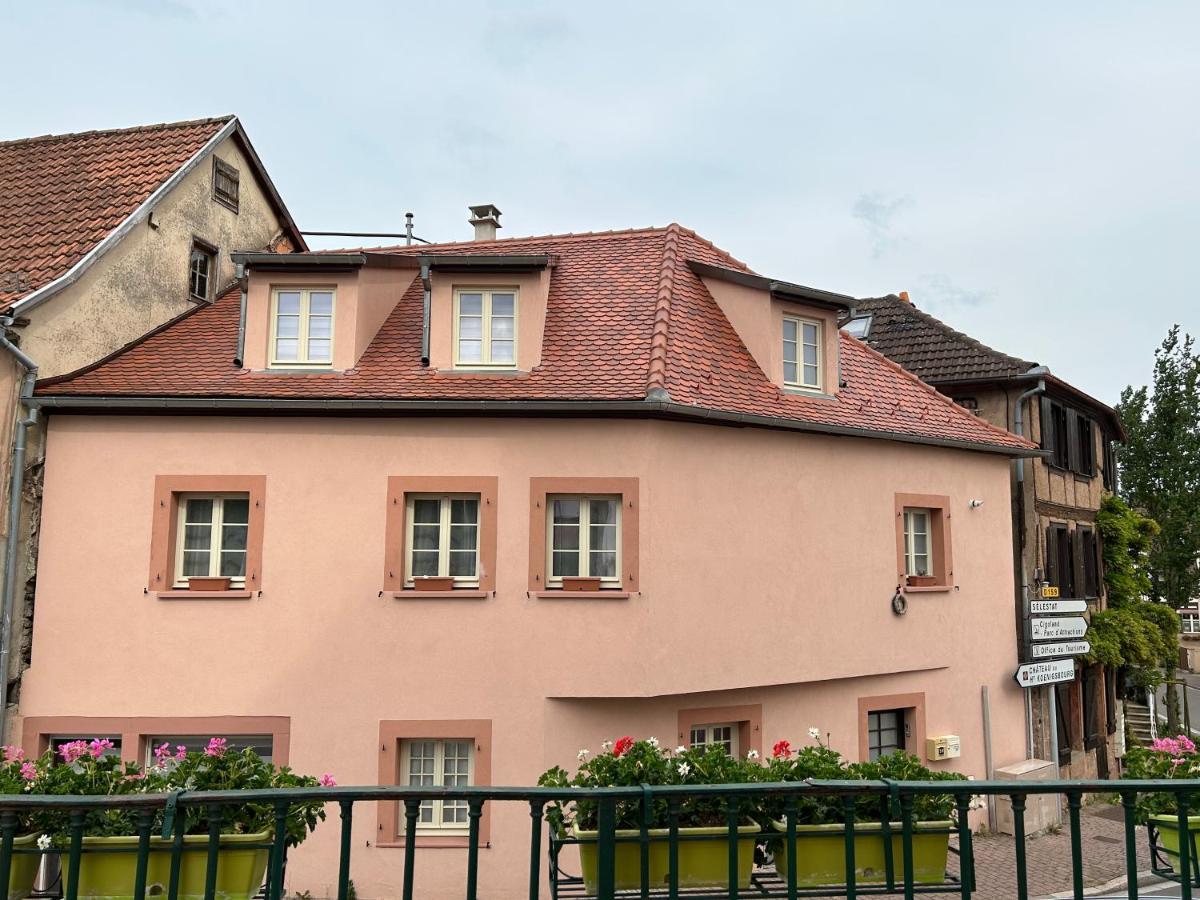 Gite Ma Maison Кенцайм Екстер'єр фото
